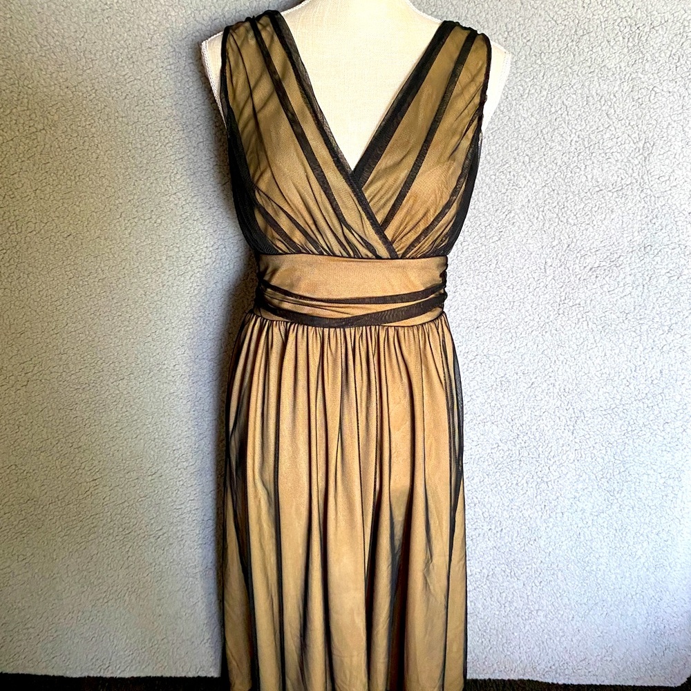 Cami Fit n Flare Pin up Style Dress Womens Size 4 Black Tan Sheer Lace